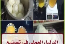الدليل العملي في تصنيع السمن البلدي و تسويقه1238942682